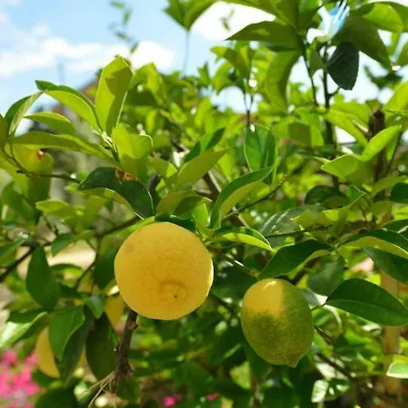 Podere Chiocciola Poggibonsi